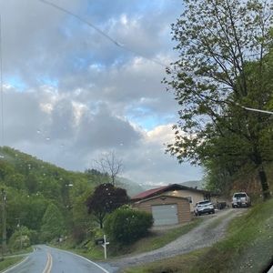 Meet your Posher, Bella